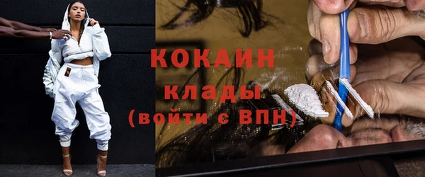 индика Киреевск