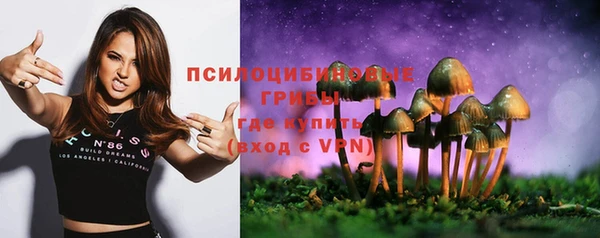 PSILOCYBIN Кинешма