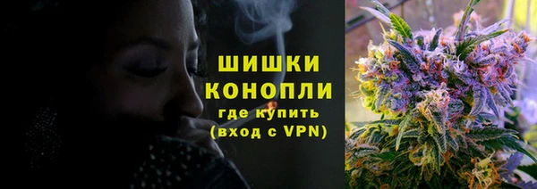 PSILOCYBIN Кинешма