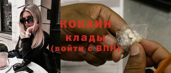 индика Киреевск