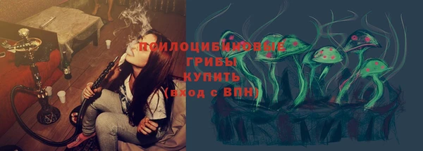 индика Киреевск
