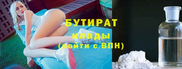 индика Киреевск