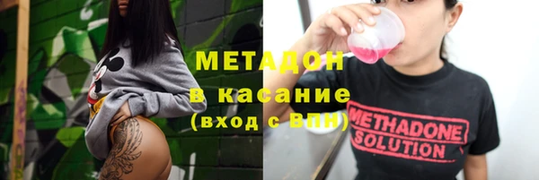 индика Киреевск