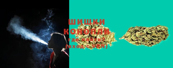 индика Киреевск