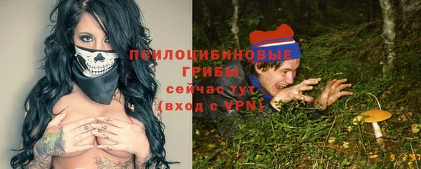 PSILOCYBIN Кинешма