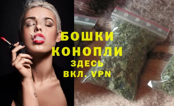 индика Киреевск