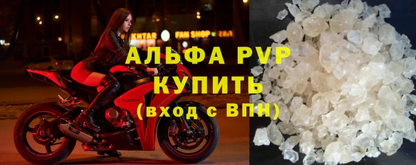 индика Киреевск