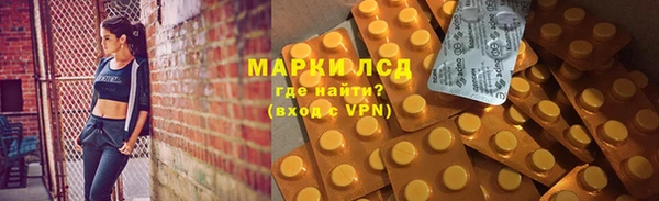 индика Киреевск
